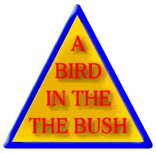 bird.jpg